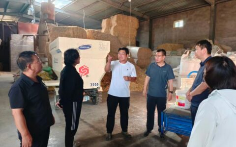 科技赋能沙乡兴牧 同心聚力富民共赢——技术帮扶助力内蒙古巴彦淖尔肉羊产业高质量发展
